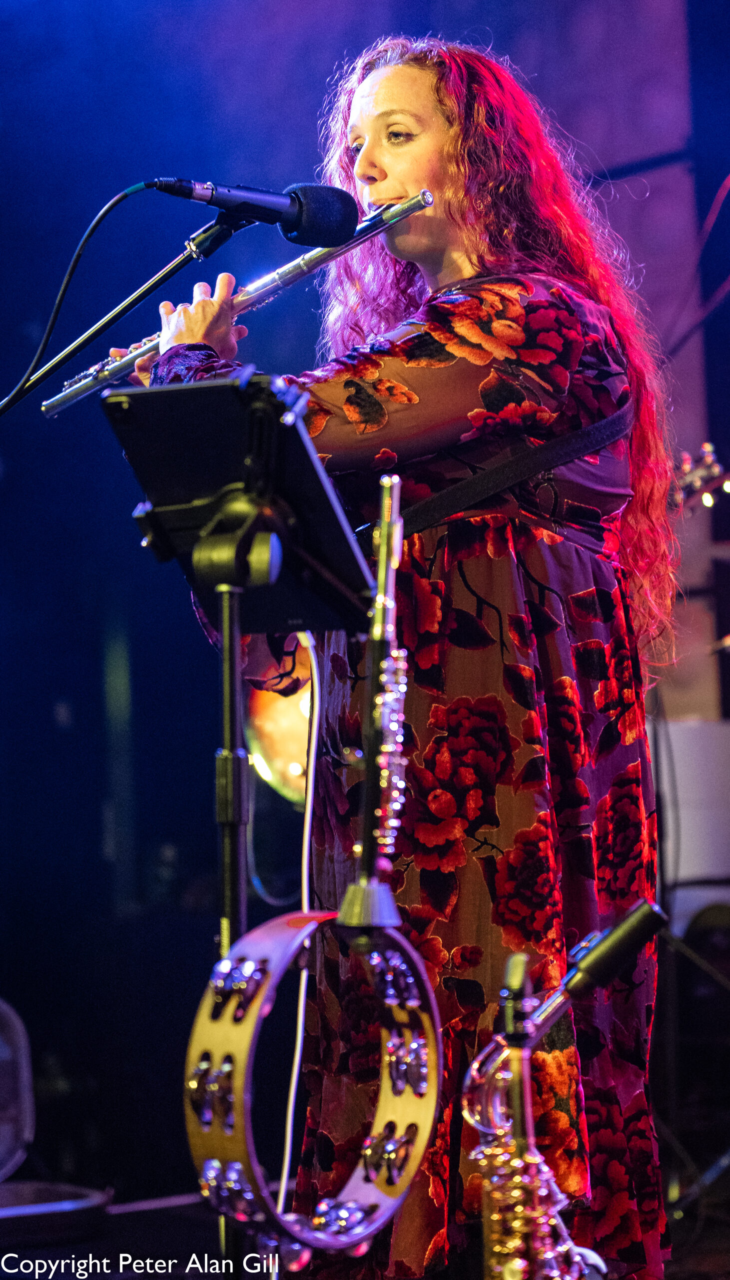 Progfathers - Image 23