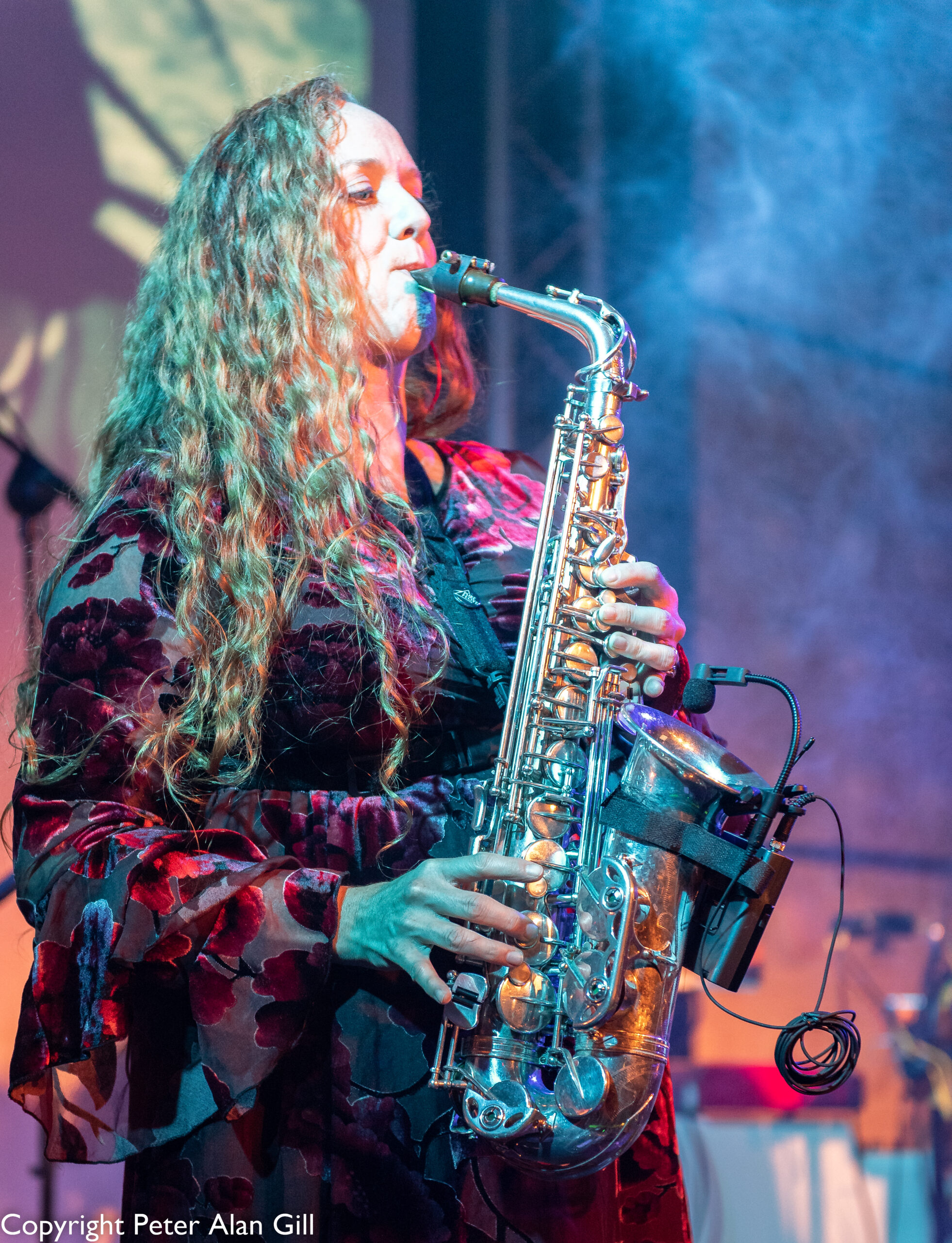 Progfathers - Image 18