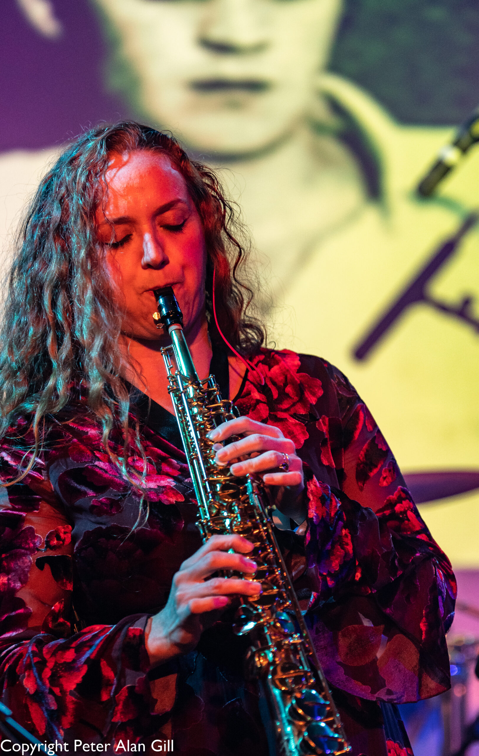 Progfathers - Image 13