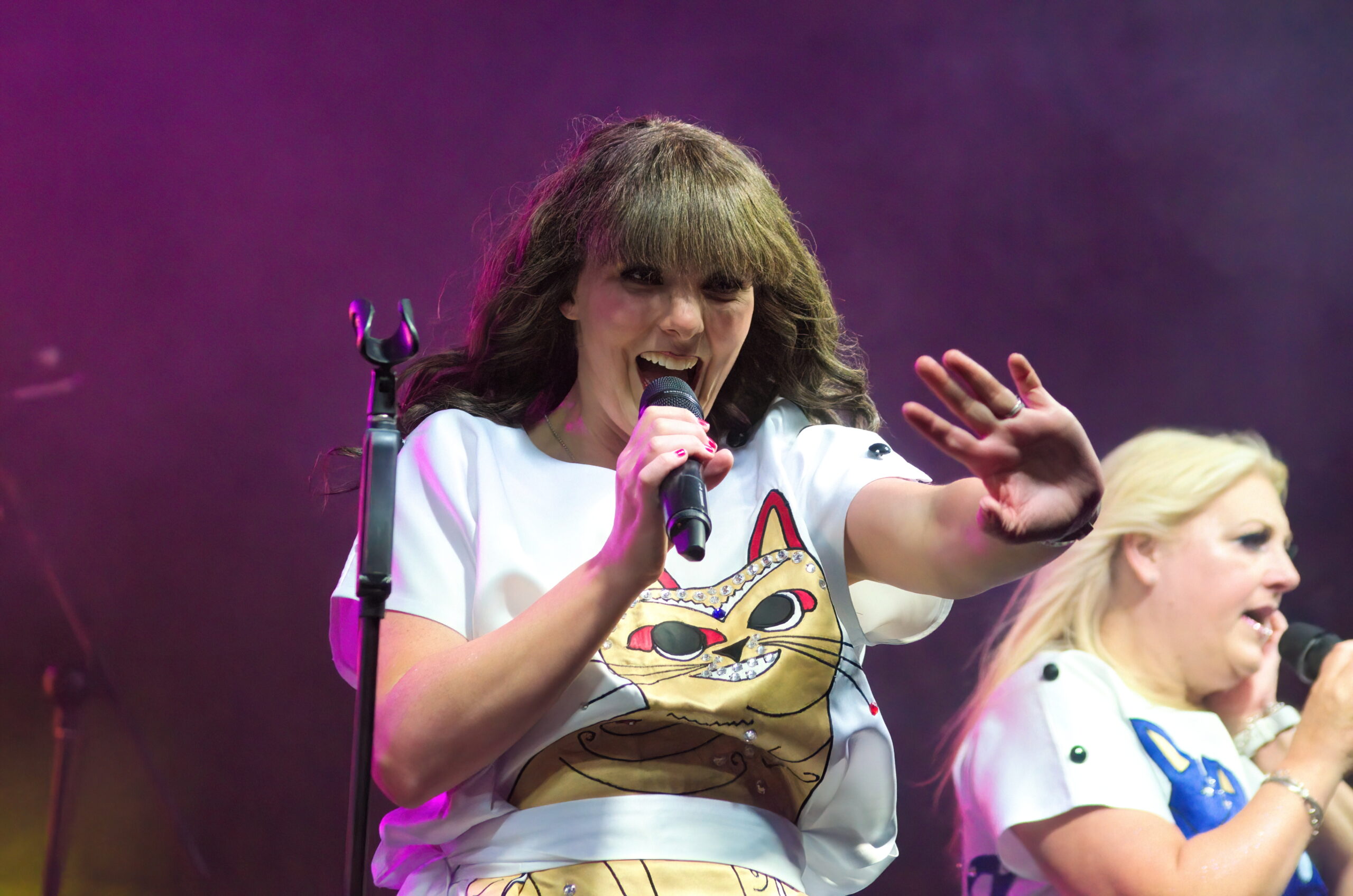 ARRIVAL (ABBA Tribute) - Image 19