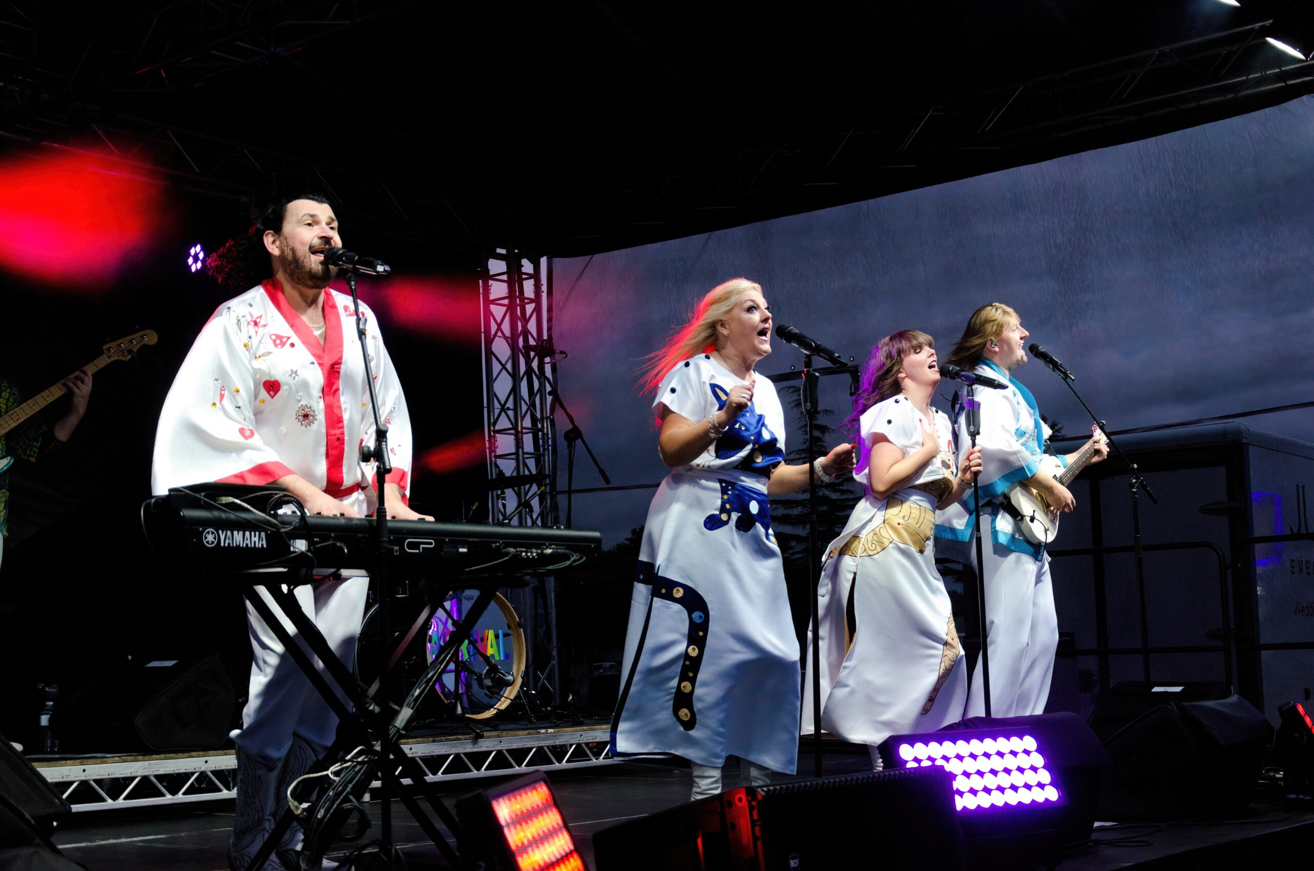 ARRIVAL (ABBA Tribute) - Image 23