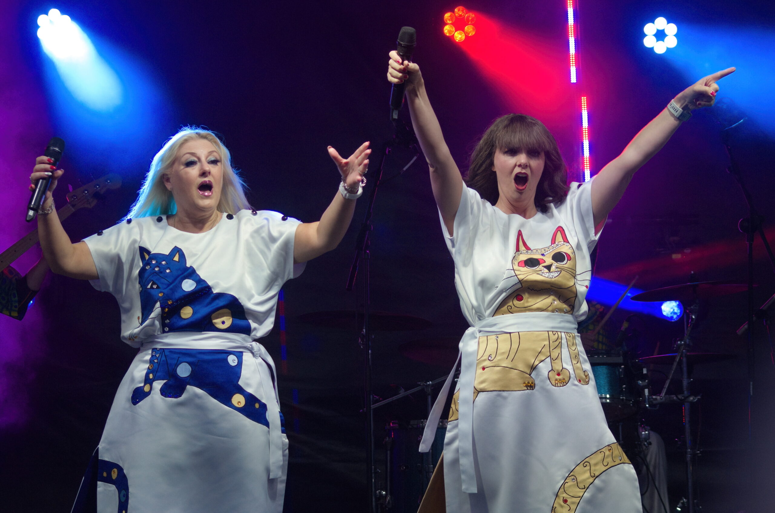 ARRIVAL (ABBA Tribute) - Image 12