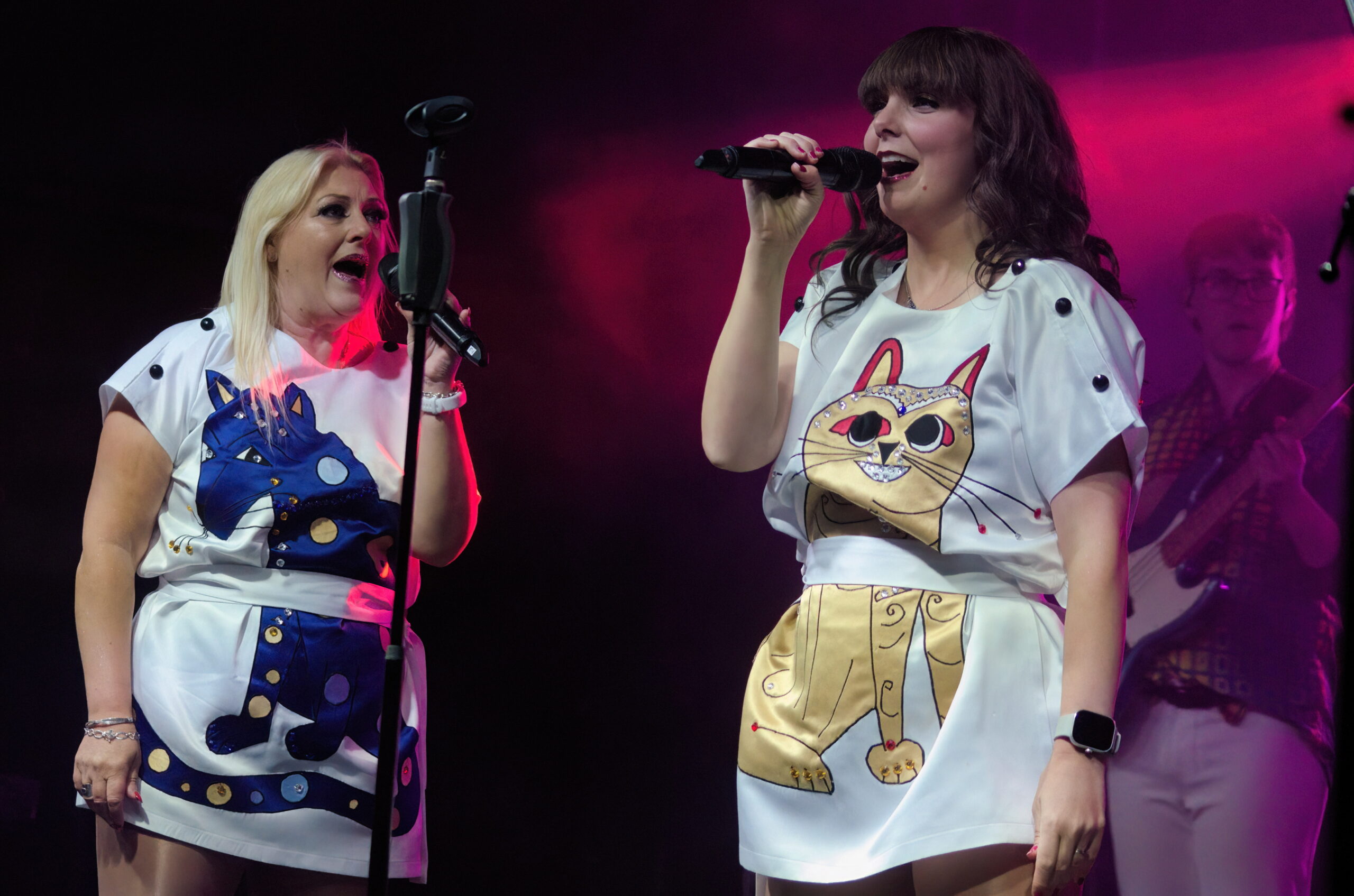 ARRIVAL (ABBA Tribute) - Image 17