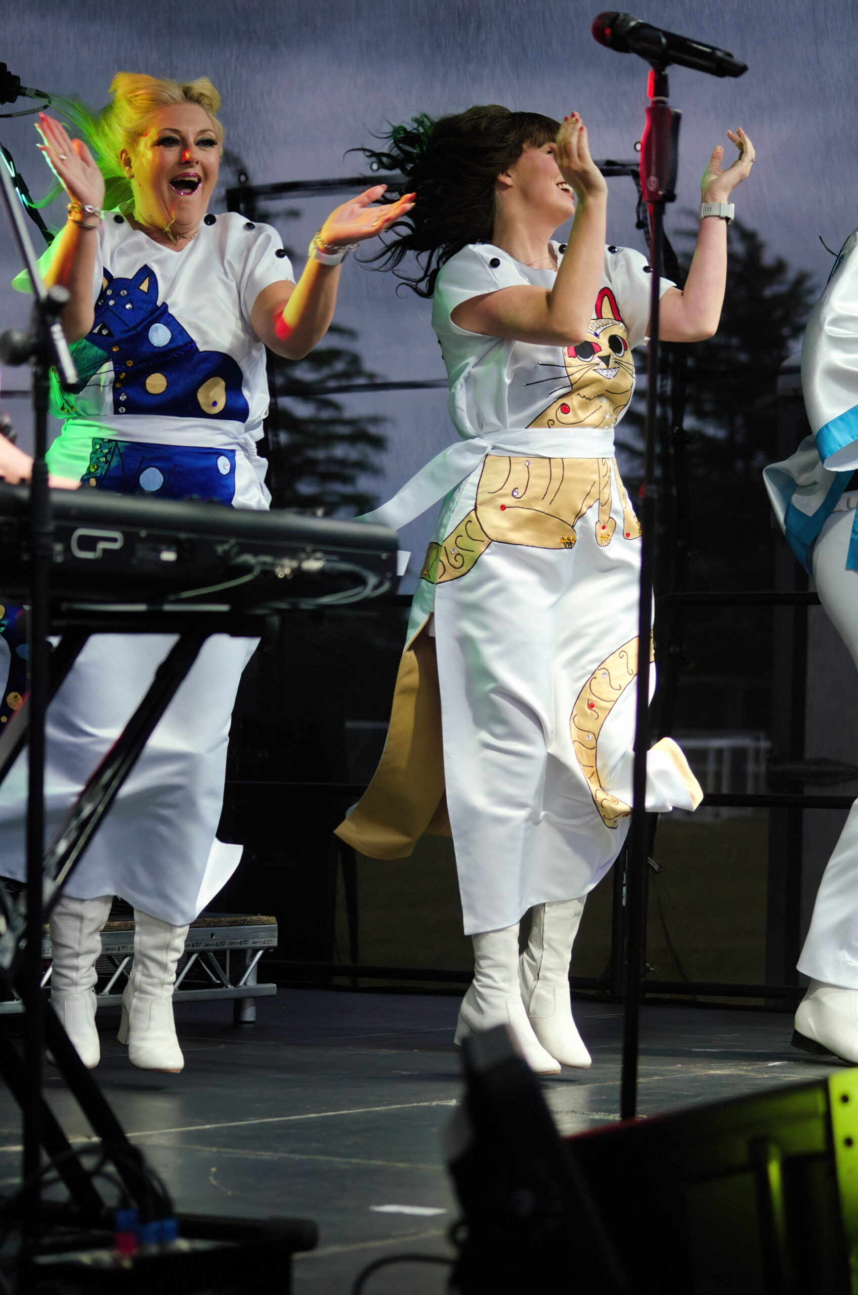 ARRIVAL (ABBA Tribute) - Image 13