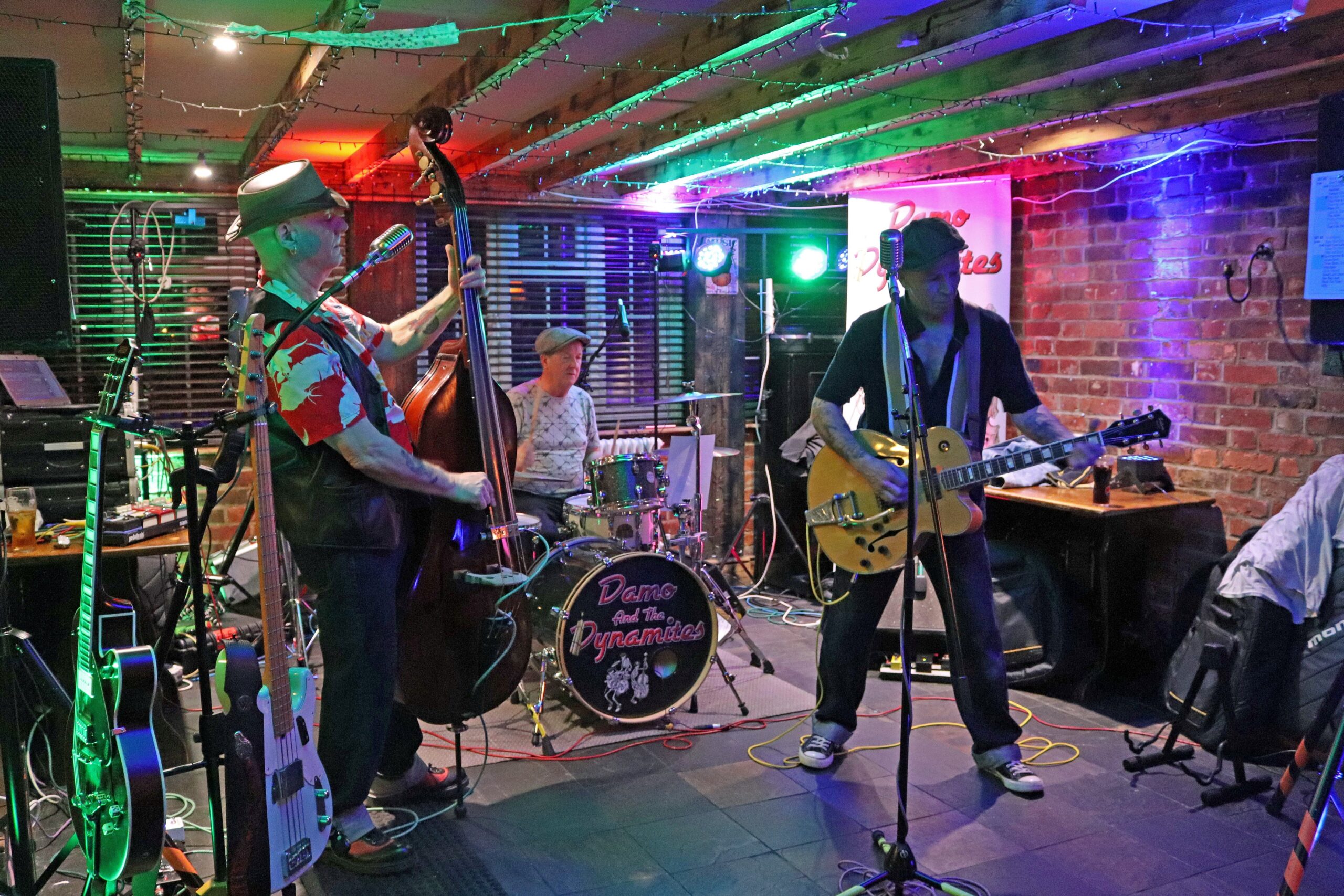 Damo And The Dynamites - Image 3