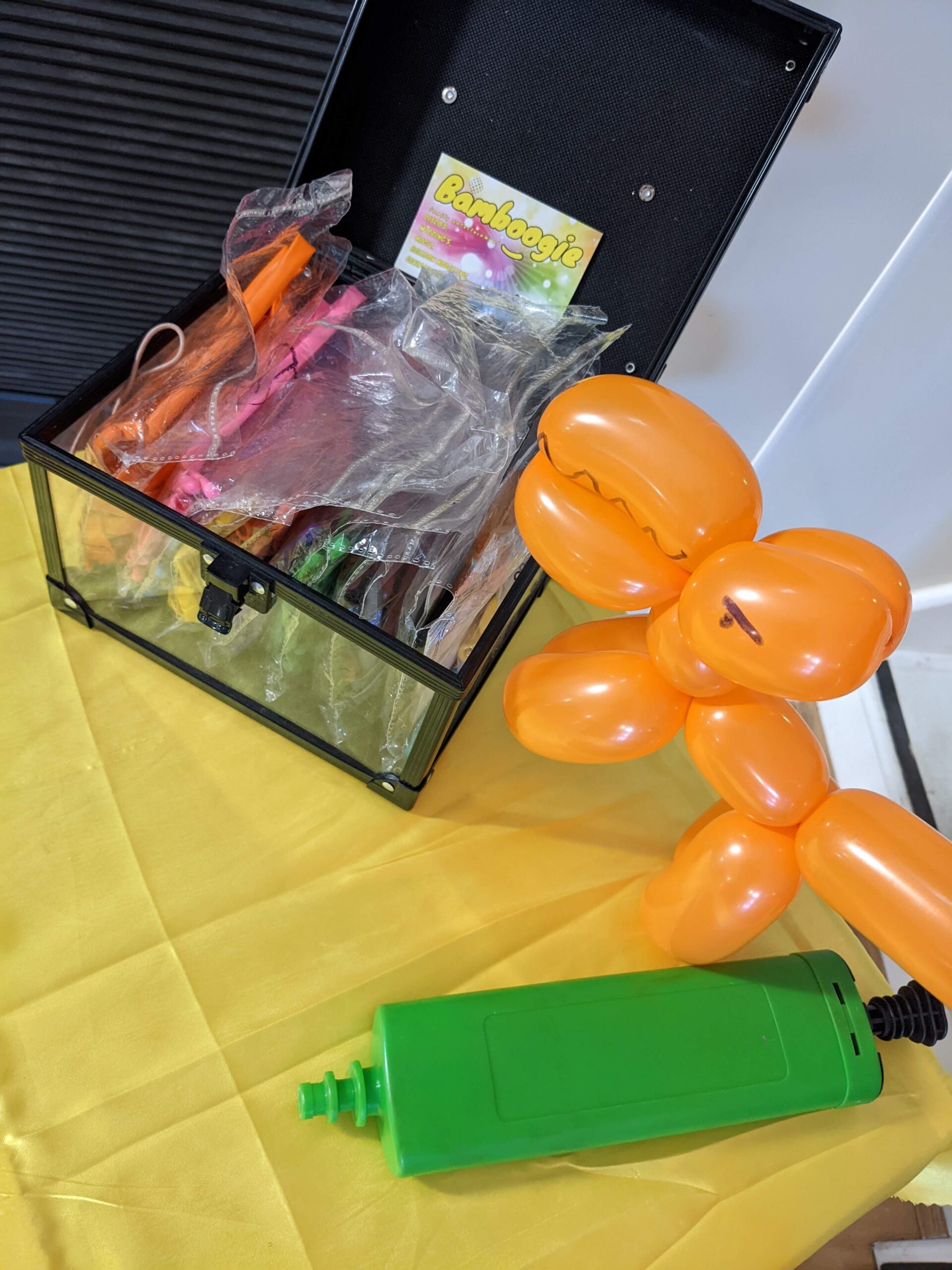 BamBoogie Family Entertainment - Image 11