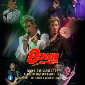 Aladdinsane (David Bowie Tribute)