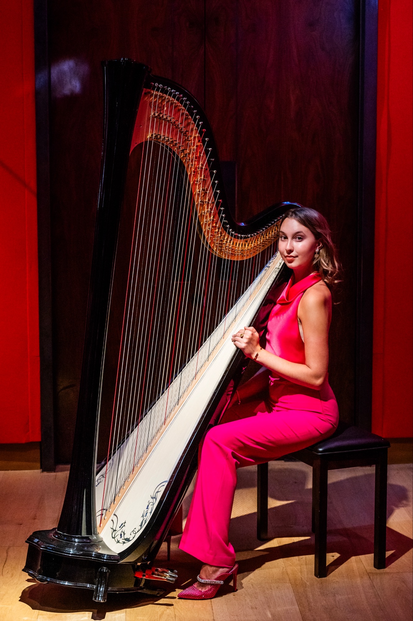 Amie True Attwood - Harpist - Image 10