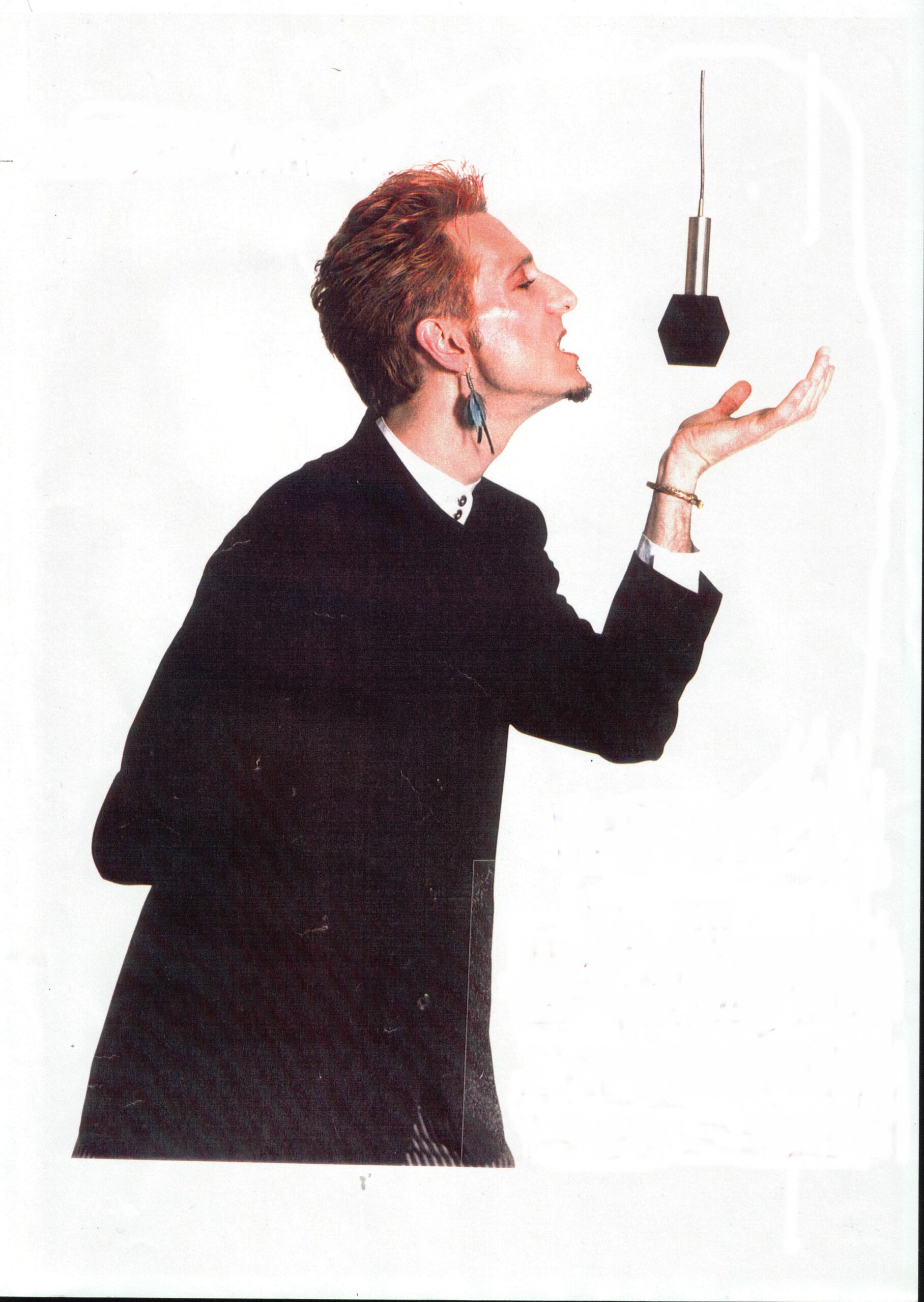 The Bowie Experience (David Bowie Tribute) - Image 11